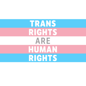 trans rights logo tw post 1024x512 11