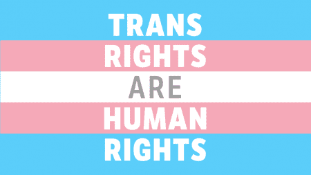 banner trans rights are human rights size 1024x576px 001