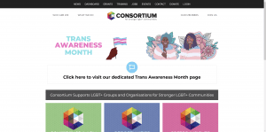 Consortium LGBT Website